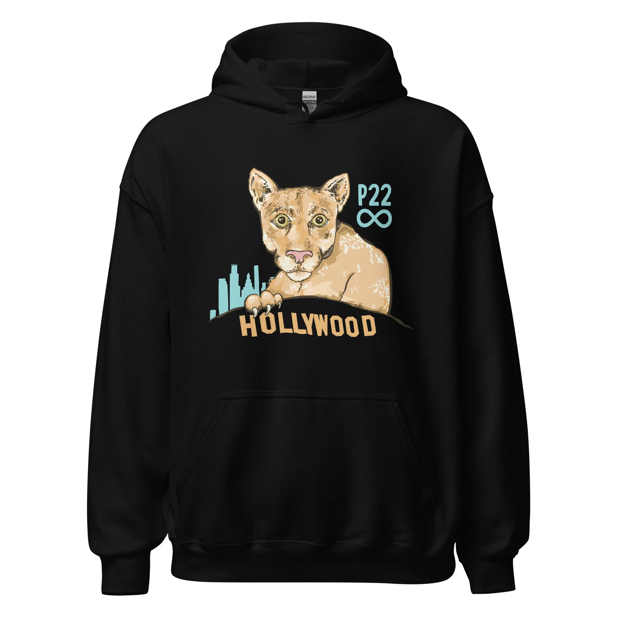 unisex-heavy-blend-hoodie-black-front-63a25b86a6f19.jpg