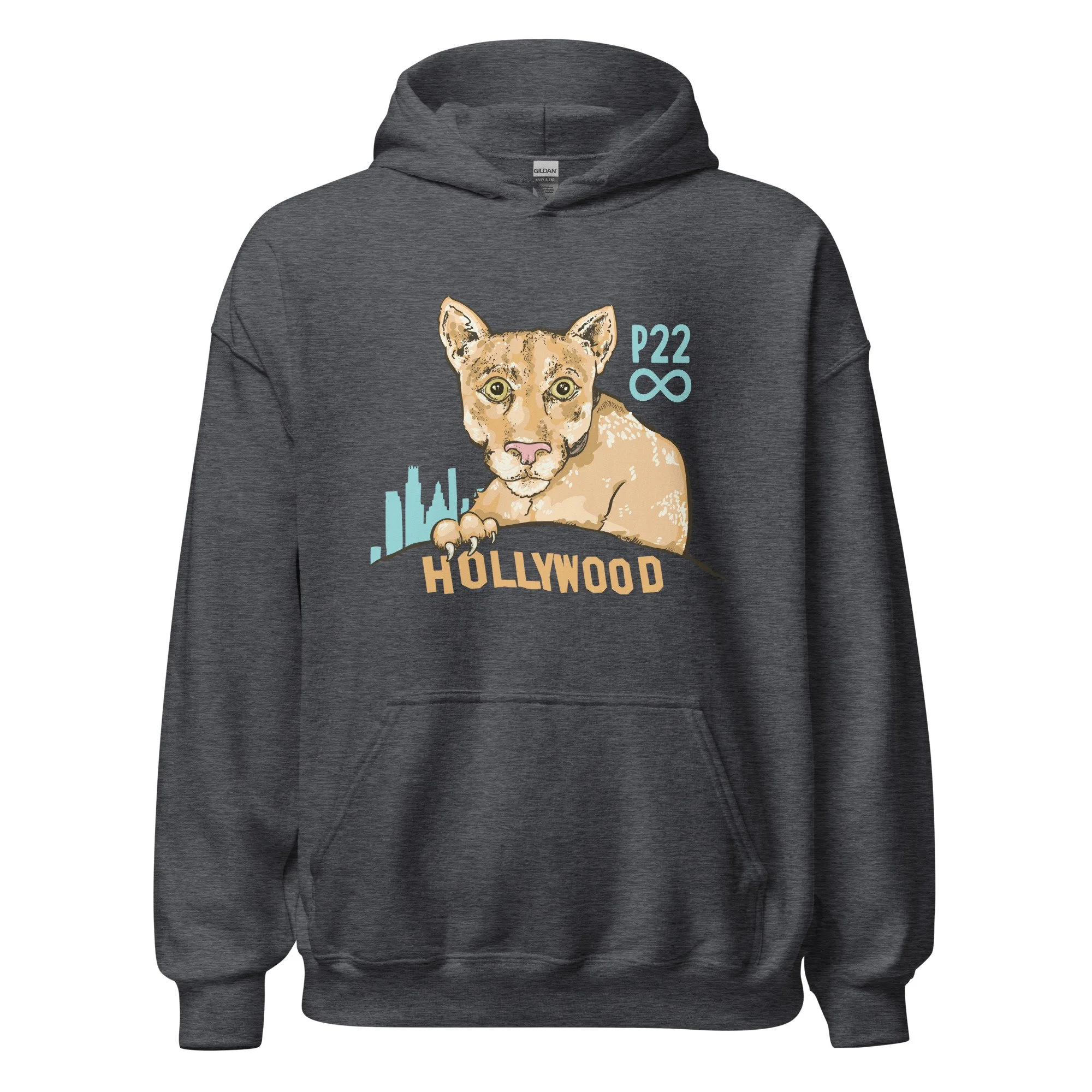 unisex-heavy-blend-hoodie-dark-heather-front-63a25b86ae334.jpg