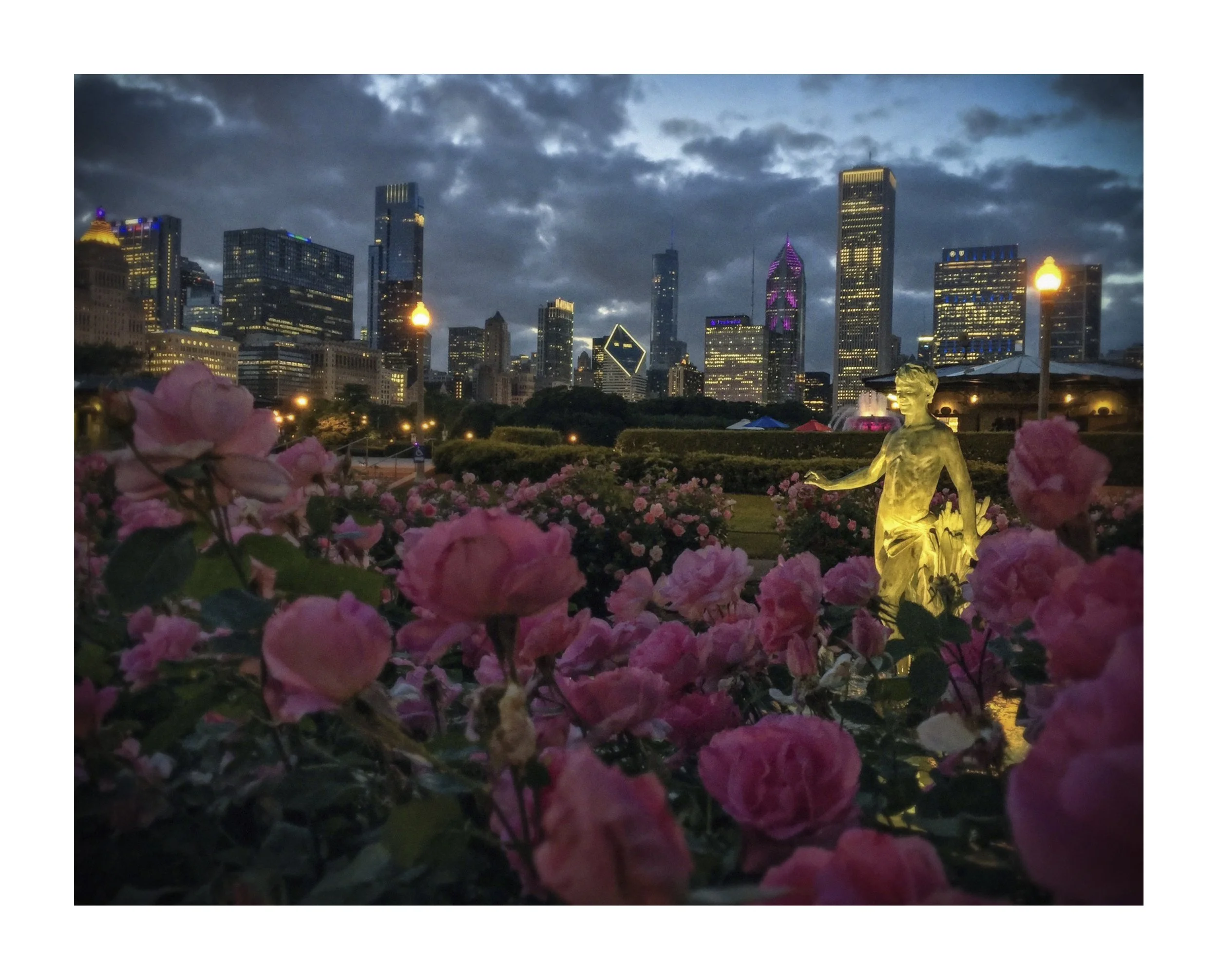 Third_edition_prints_8x10_2023_2016_0017s_0000_IMG_9168.jpg