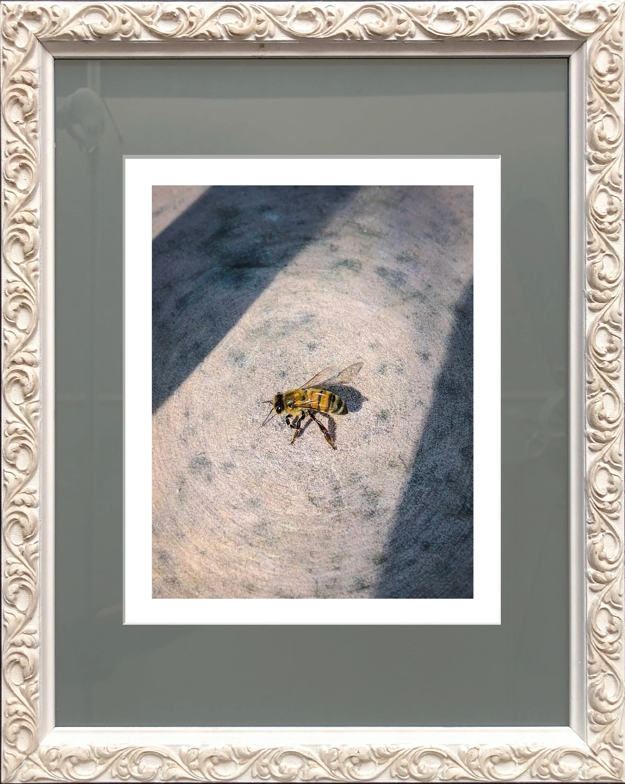 social_mockups_framed_BEE.jpg