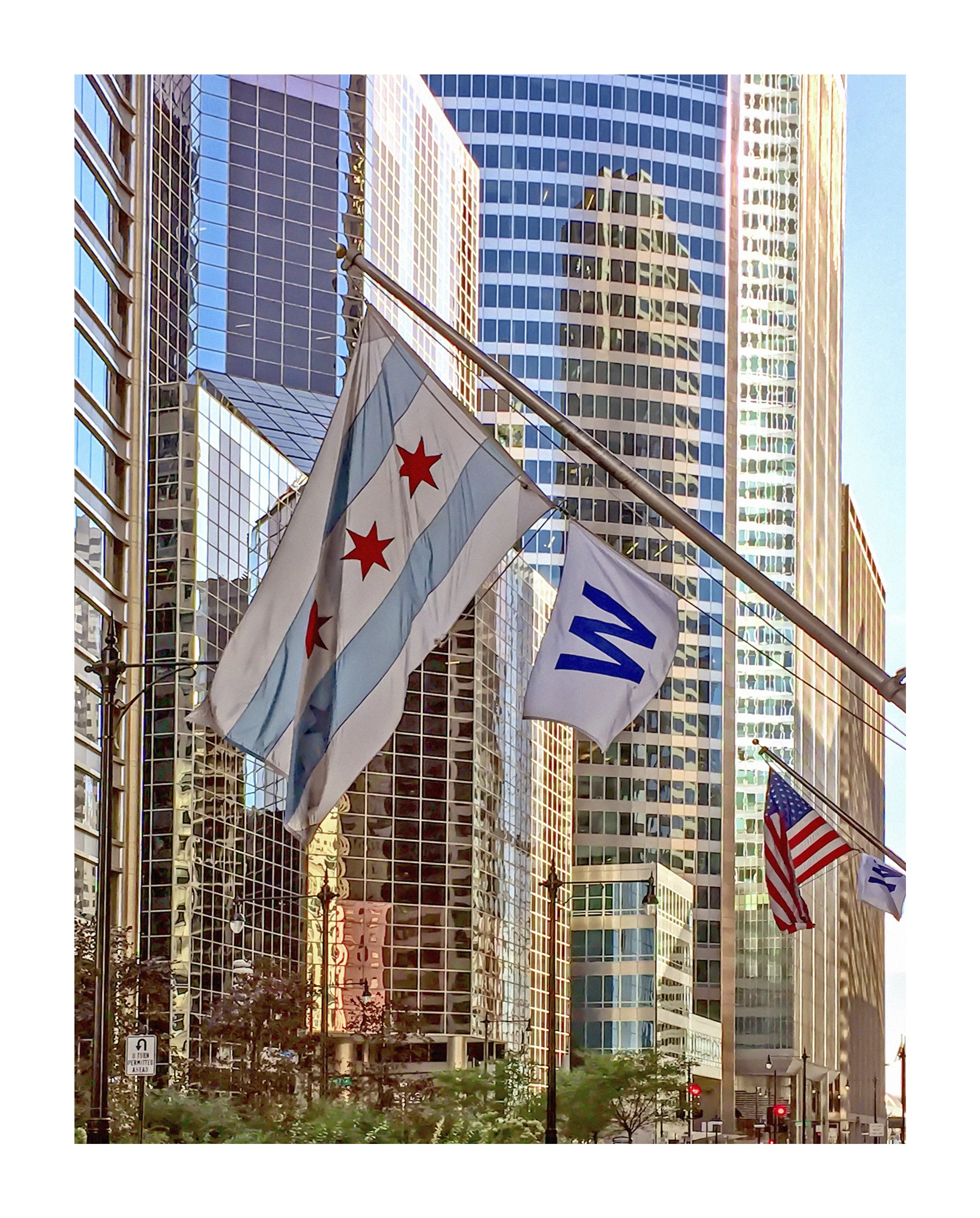 Third_edition_prints_8x10_2023_2016__0000s_0000_IMG_1179.jpg