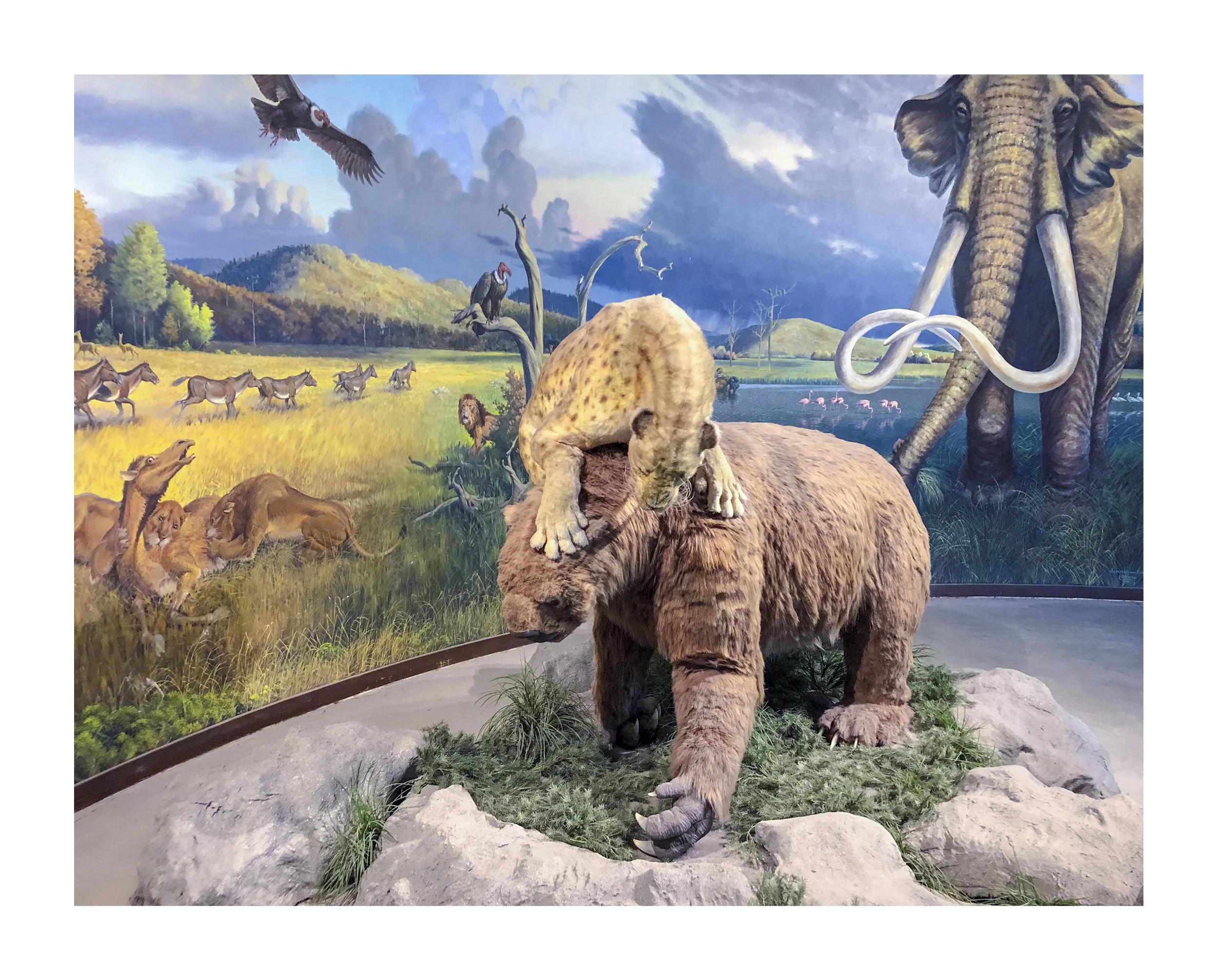 Third_edition_prints_8x10_2023_2018__0005s_0000_IMG_2655.jpg