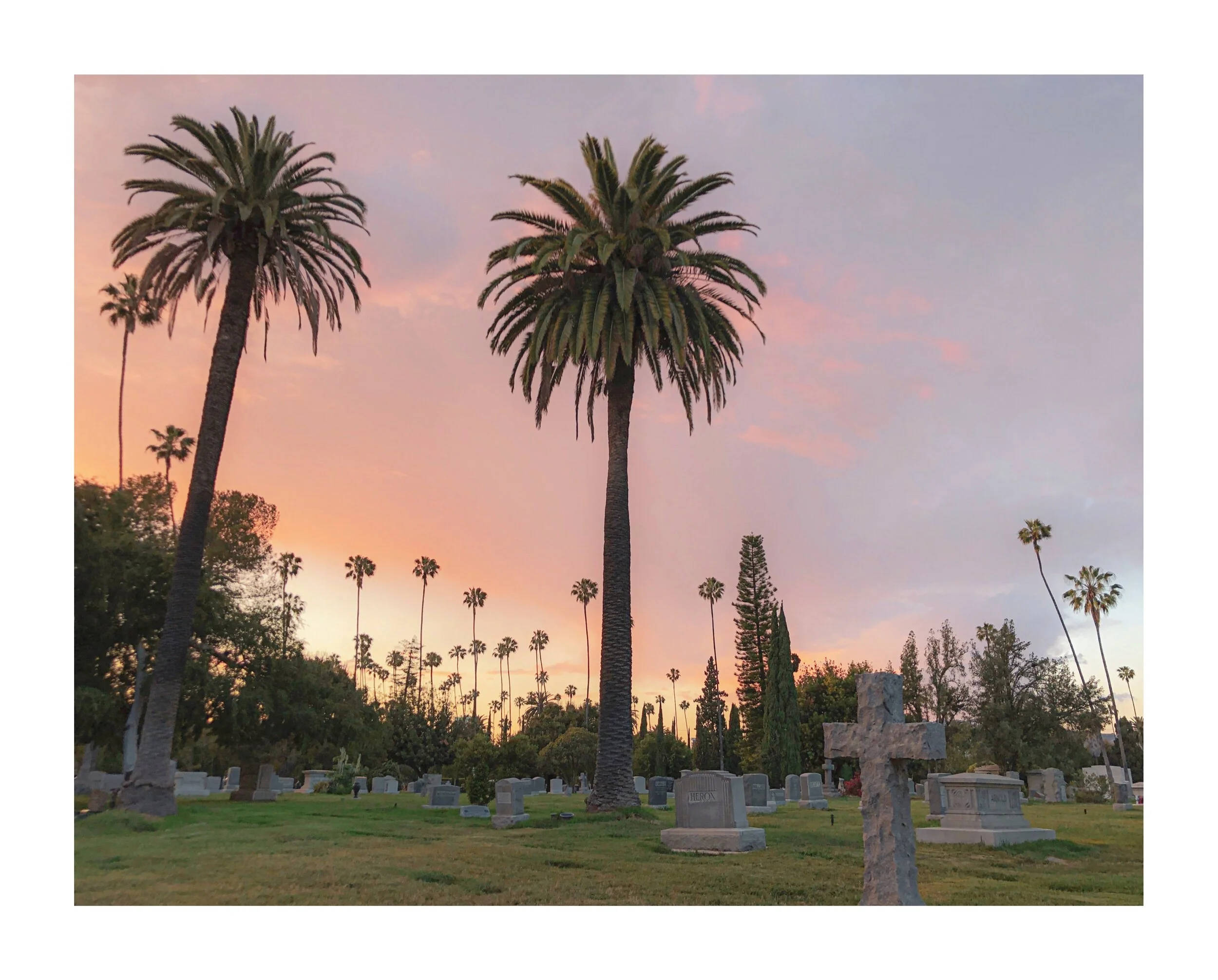 53264A92-4FEA-4410-BA42-EEFAB288CFCD