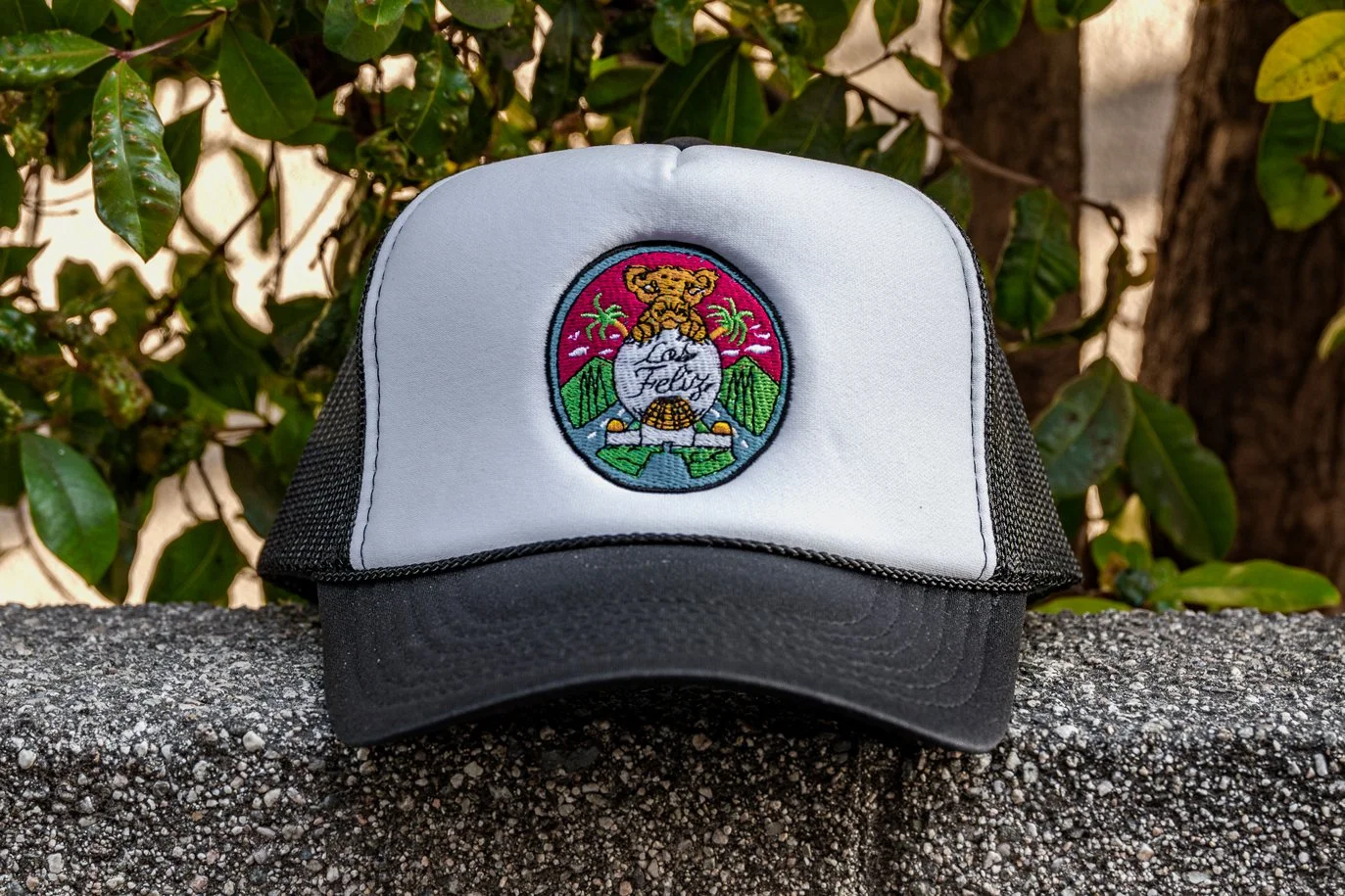 darrenvorel.com_LFL_HAT_HR_B.jpg