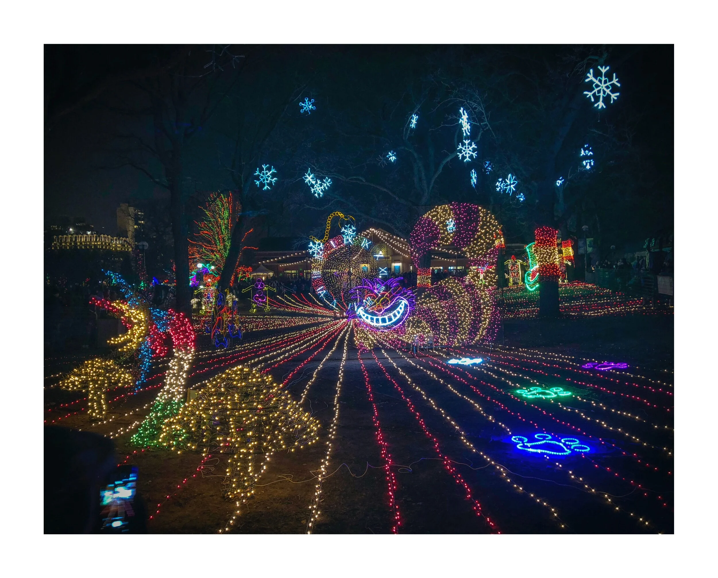 979ABEA1-82AF-481F-8AB2-3E89D47D3362