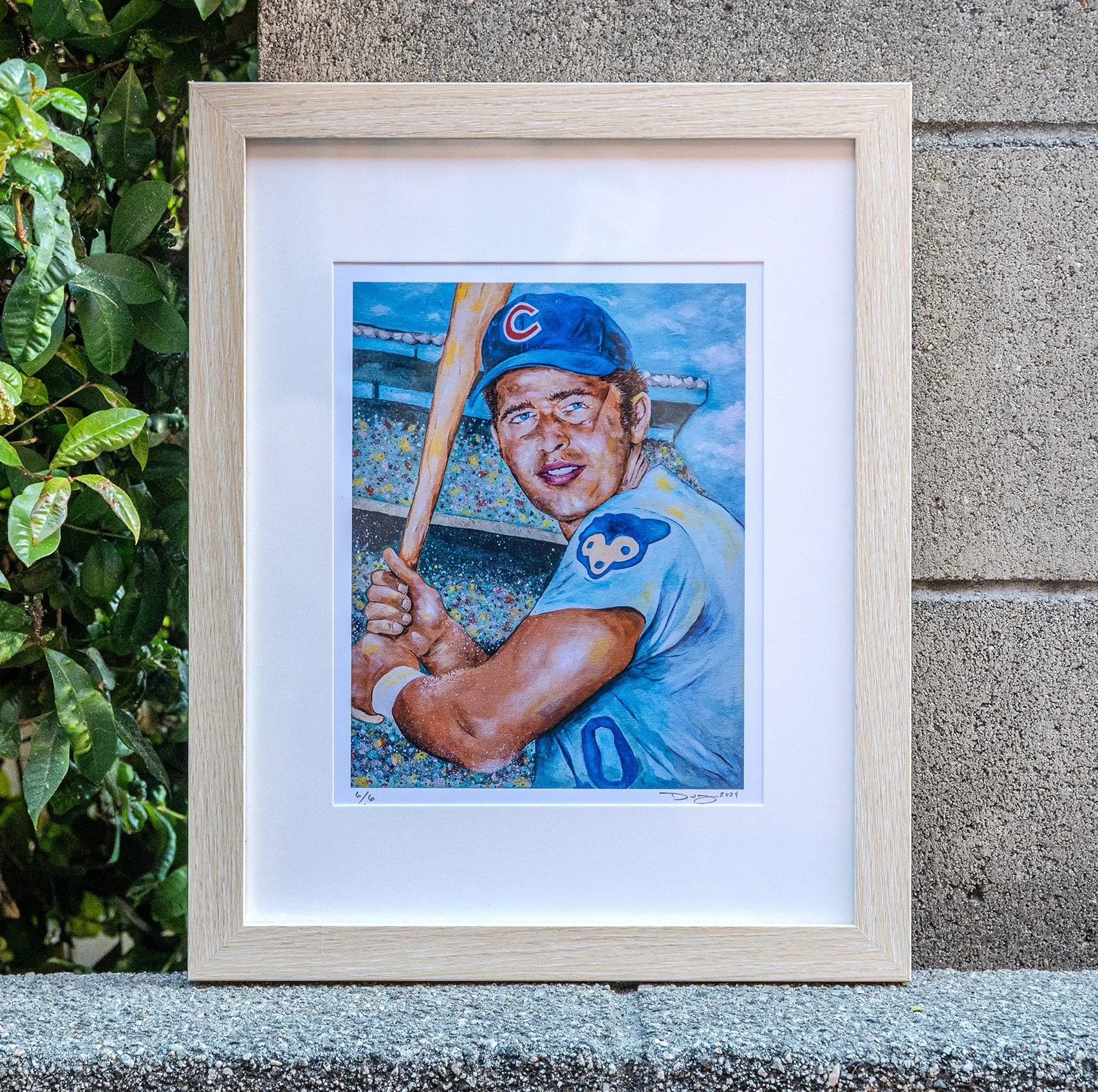 darrenvorel.com_A6700_SANTO_mockup.jpg