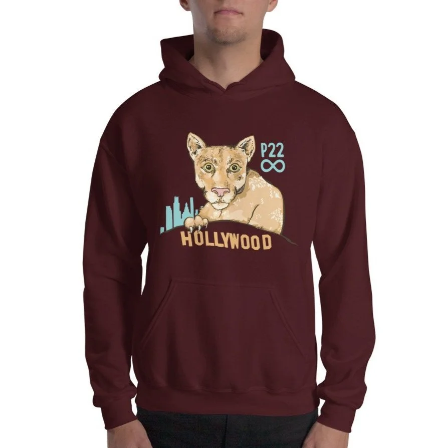 unisex-heavy-blend-hoodie-maroon-front-63a25b86b0baf.jpg