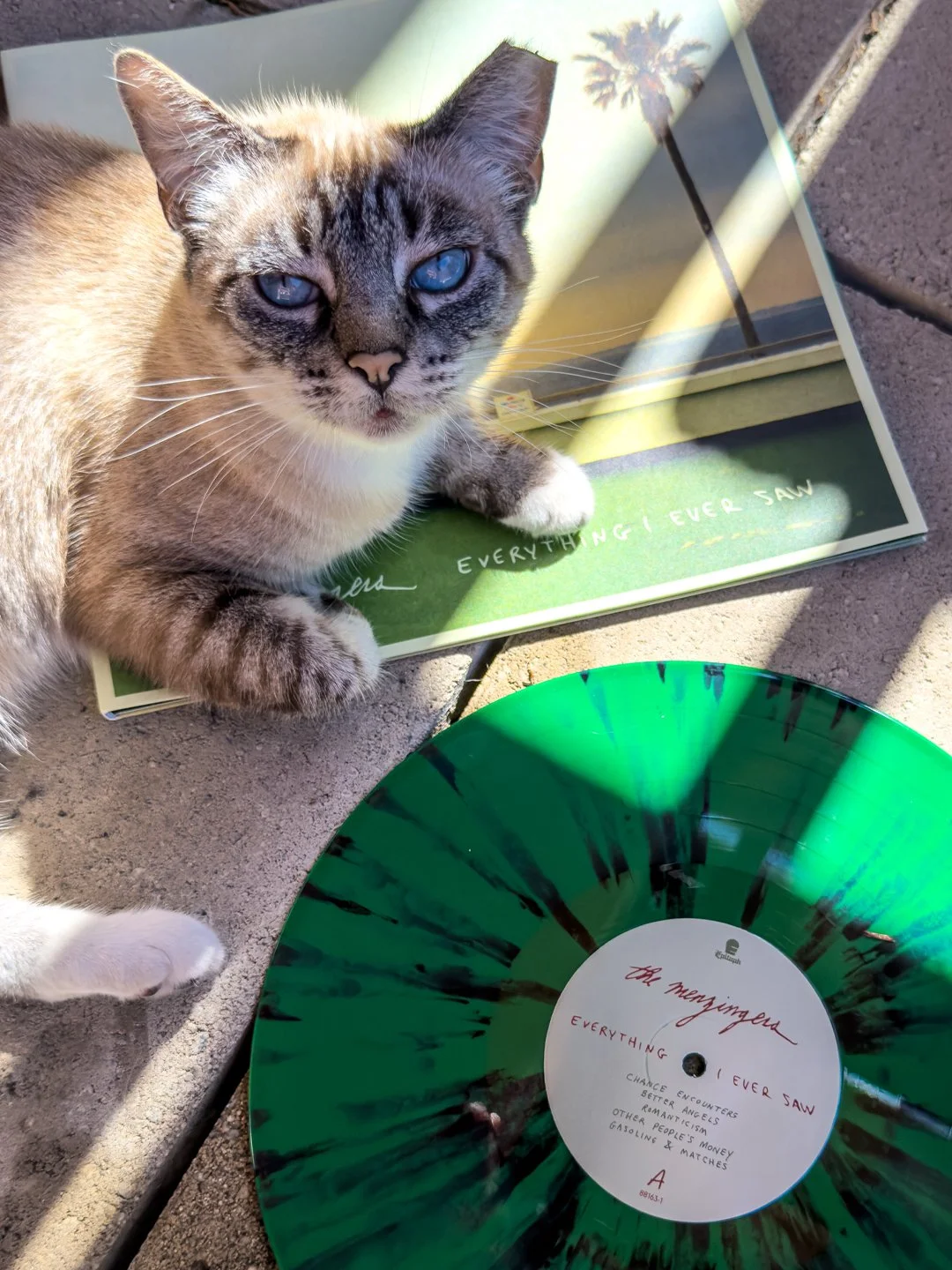 The_Menzingers_EIES_1080x1440_300DPI_9.jpg