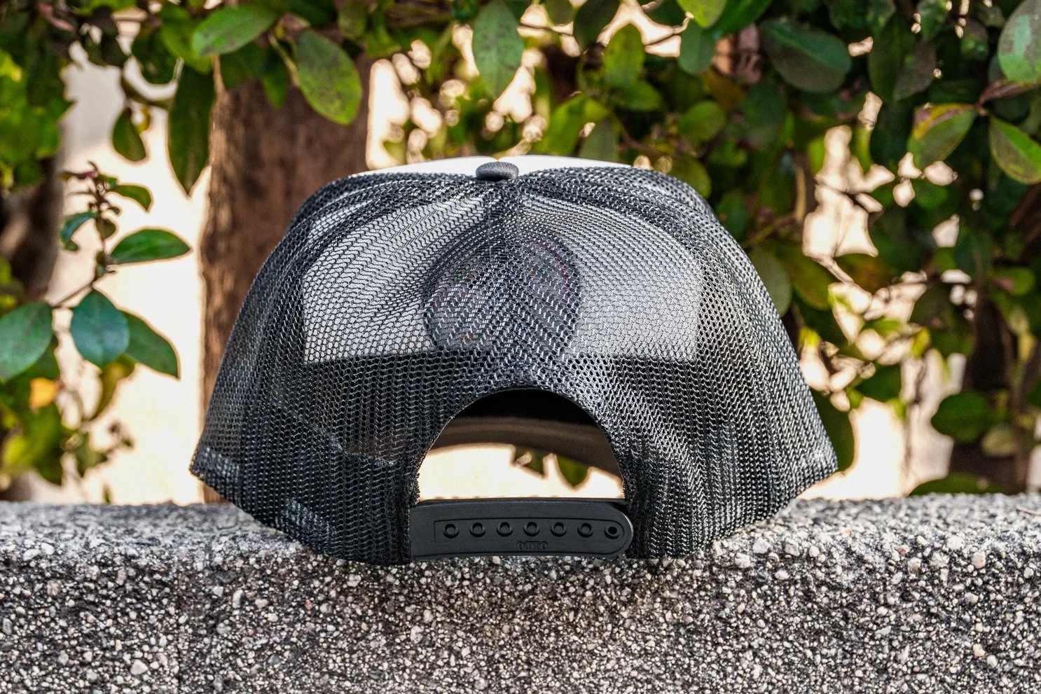 darrenvorel.com_LFL_HAT_HR_D.jpg