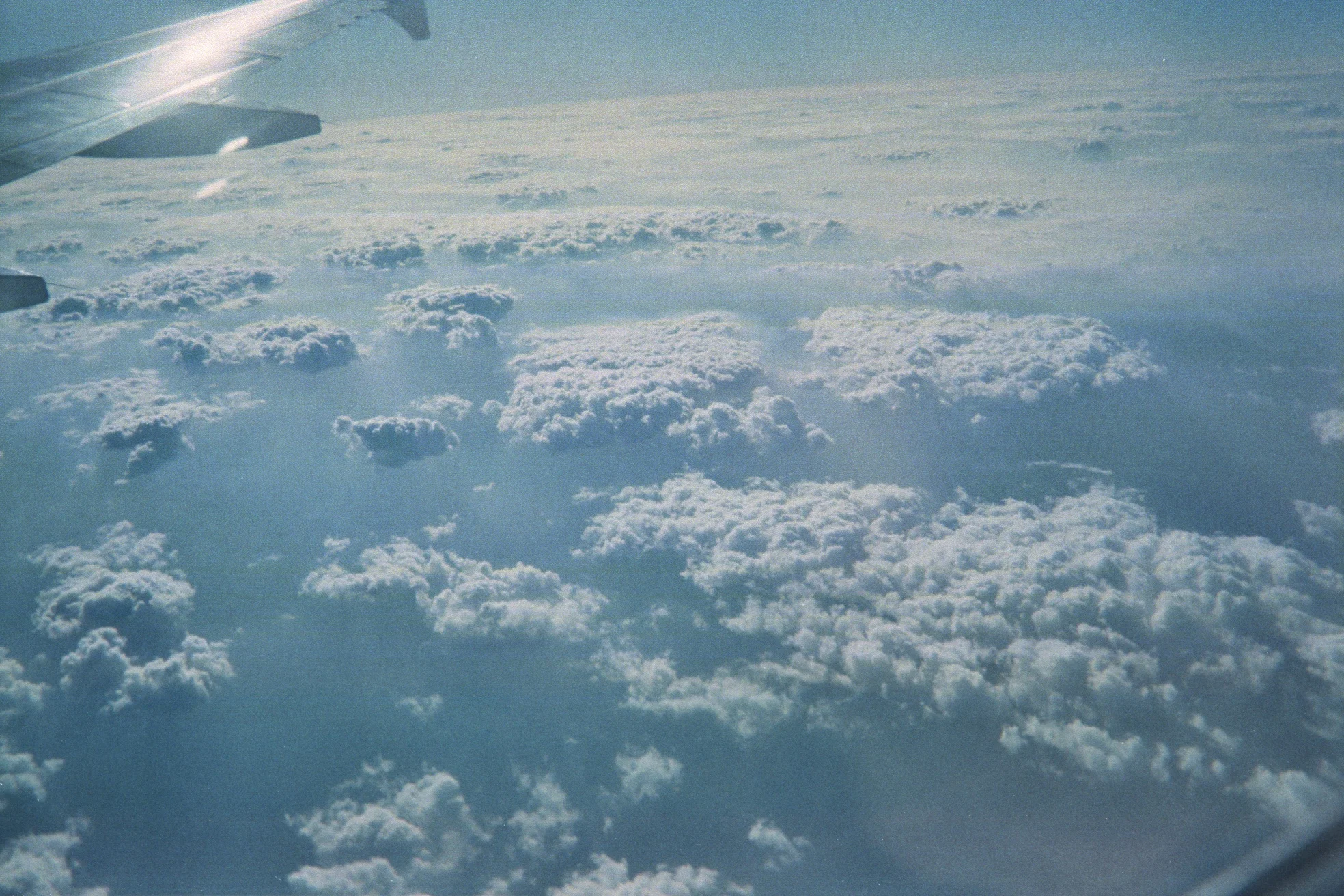 img0008.jpg