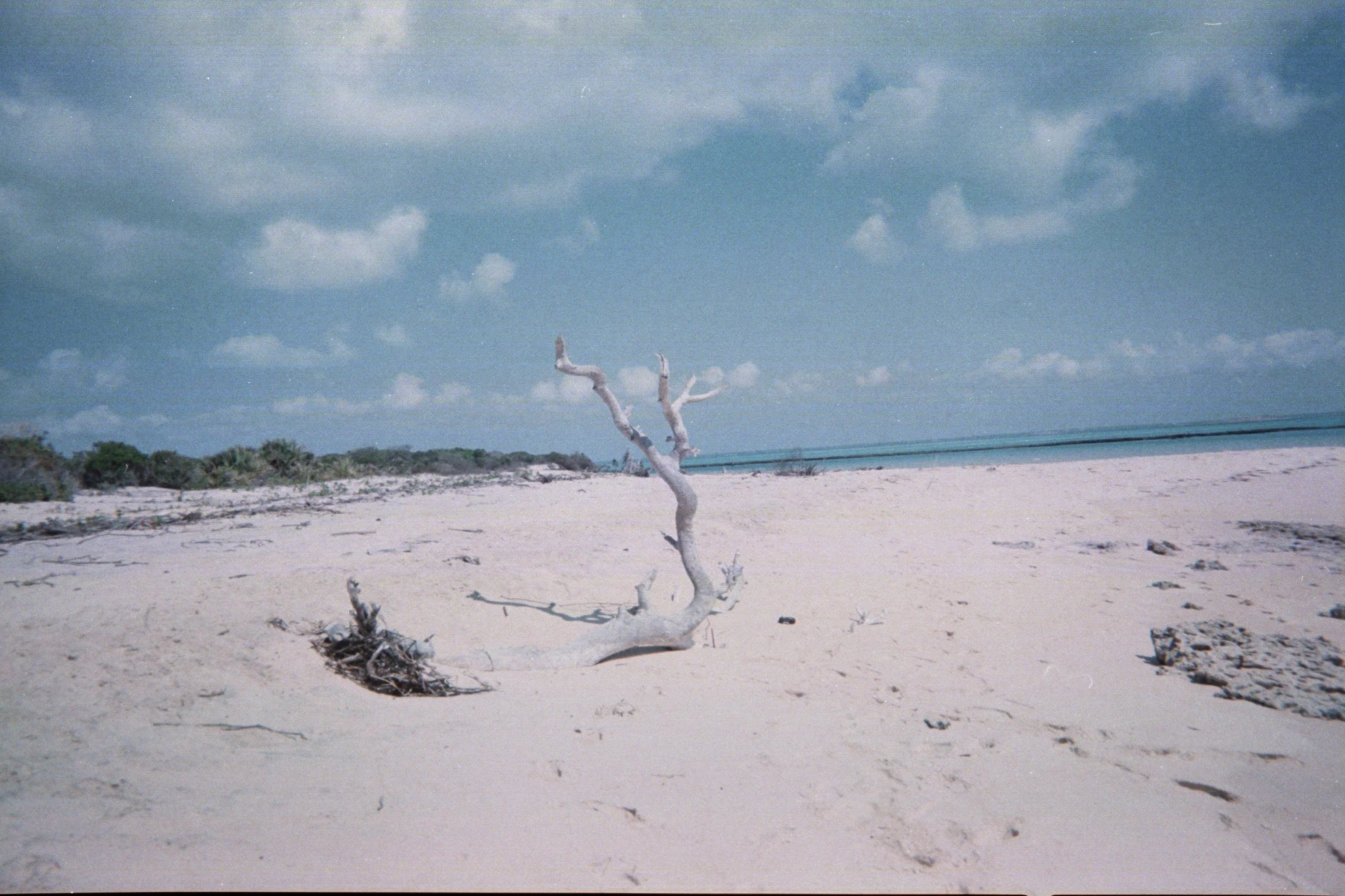 img0019.jpg
