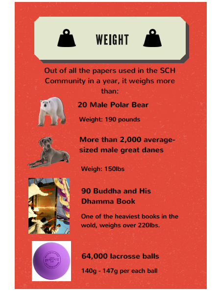 An infographic made by SCH’s seventh grade math students to inform others about paper waste.