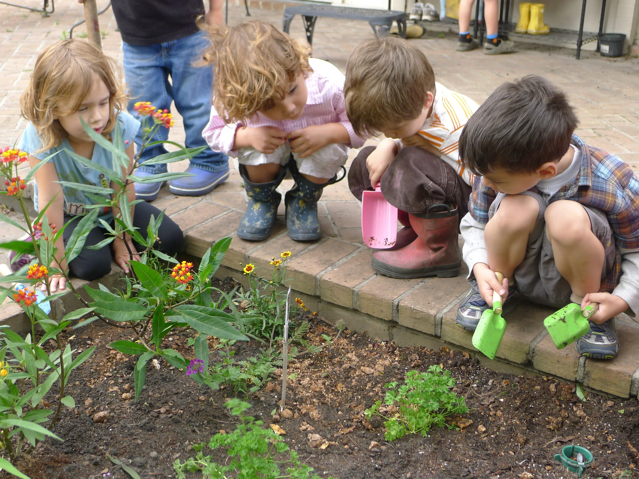 Gardens are a great way to get young students to start thinking about their connection to the natural environment. Image sourced from Central Farm Markets