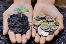 Six Grant Writing Tips to Green Your School