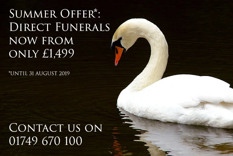 Summer Offer 2019.jpg