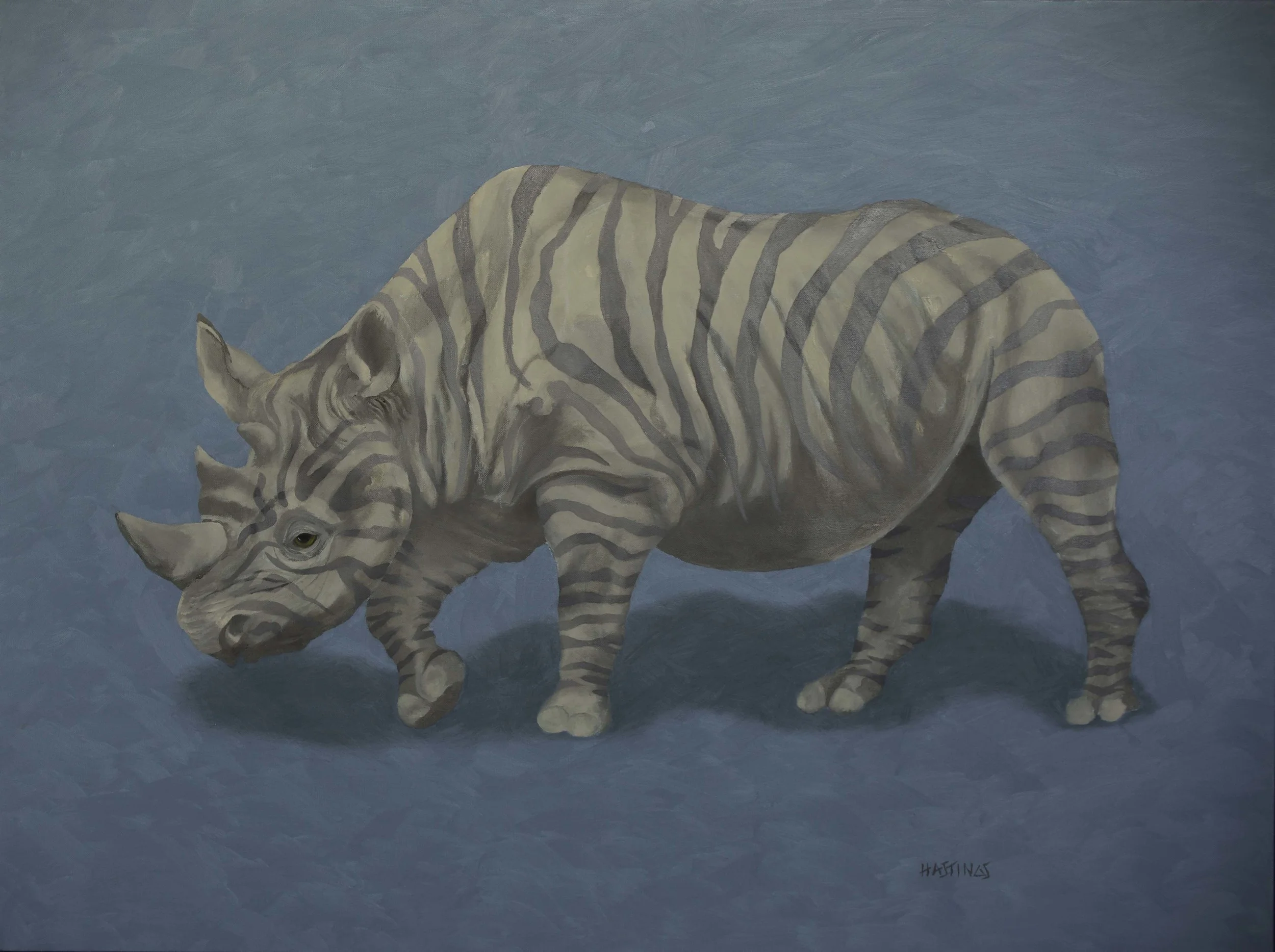 Zhinoceros