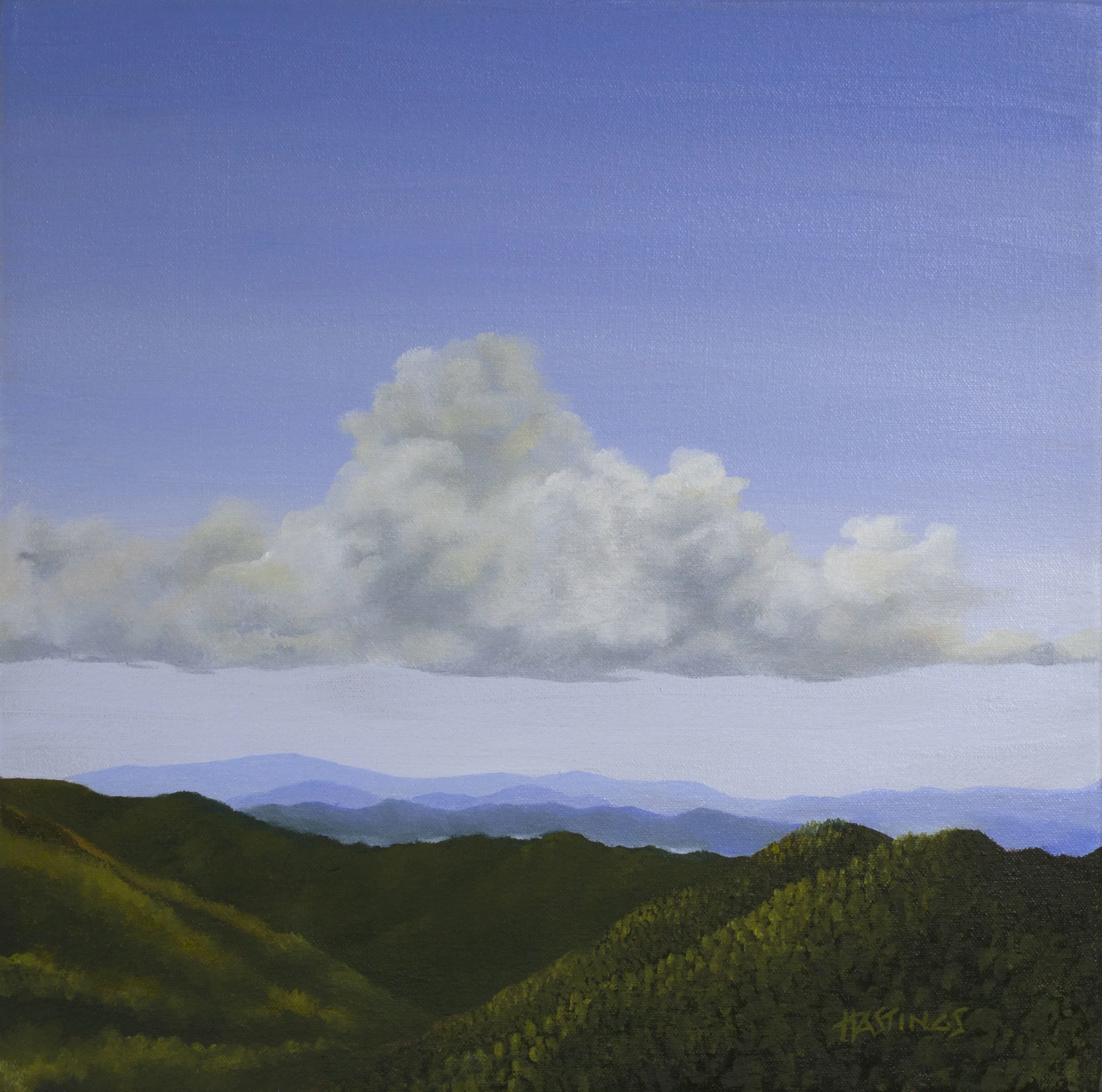 Hawk's View 14x14.jpg