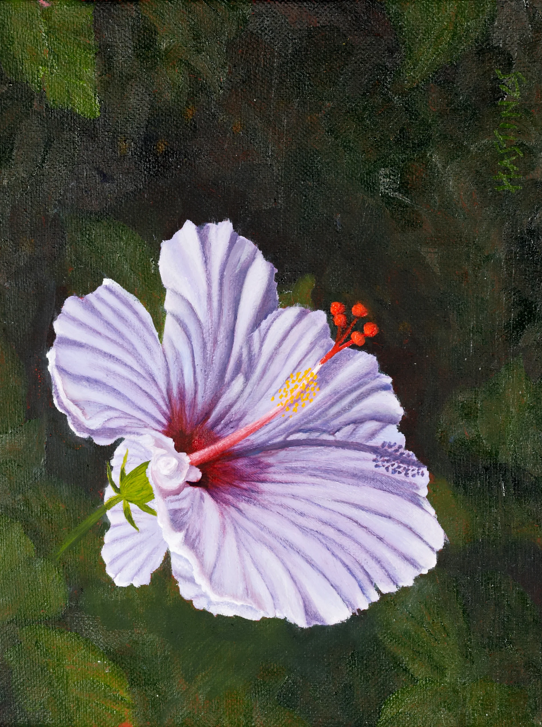 Tropical Beauty IV
