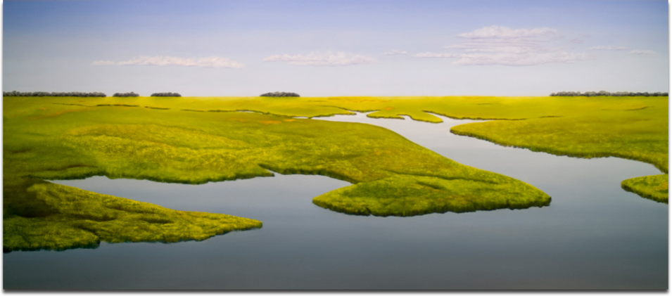 Carolina Tidal Marsh II, Oil on Canvas, 36 x 82 $8,900