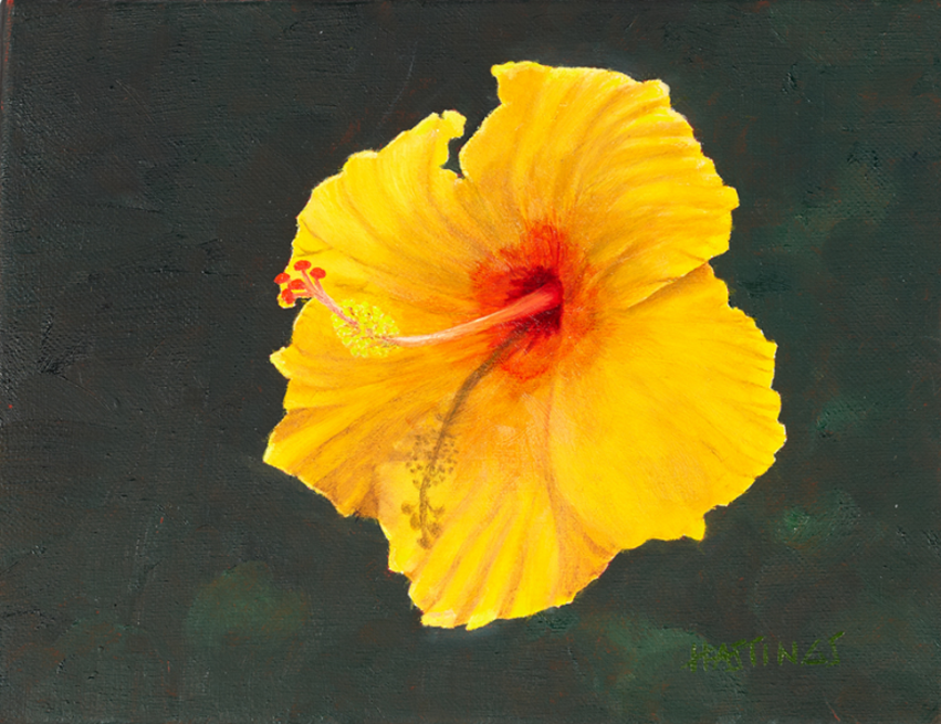Tropical Beauty II