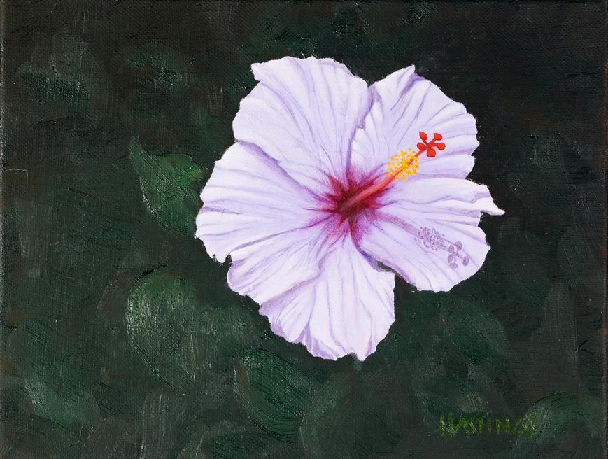 Tropical Beauty I