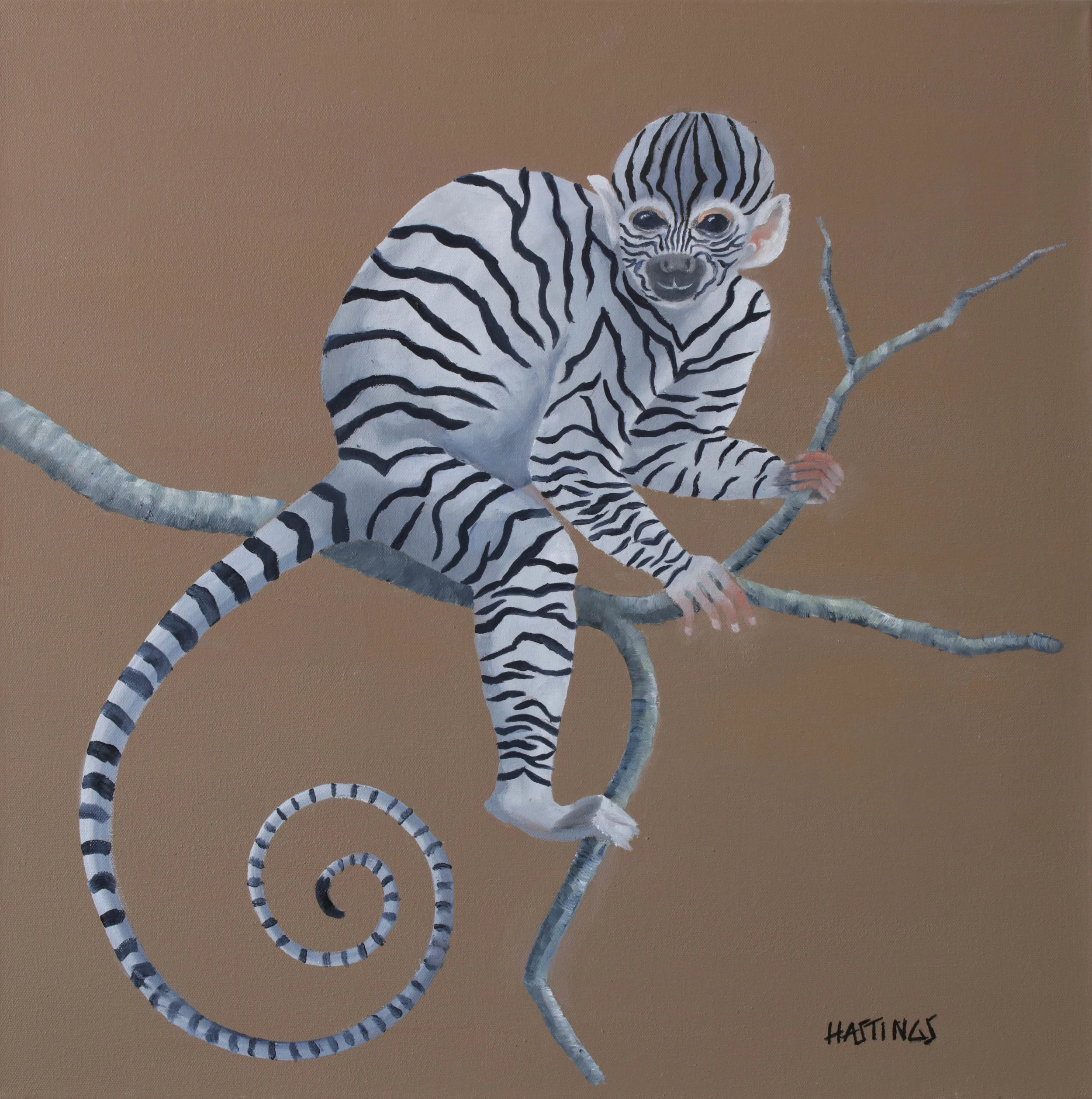 Zonkey