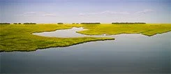  Carolina Tidal Marsh III, Oil on Canvas, 36 × 82  $5,900 