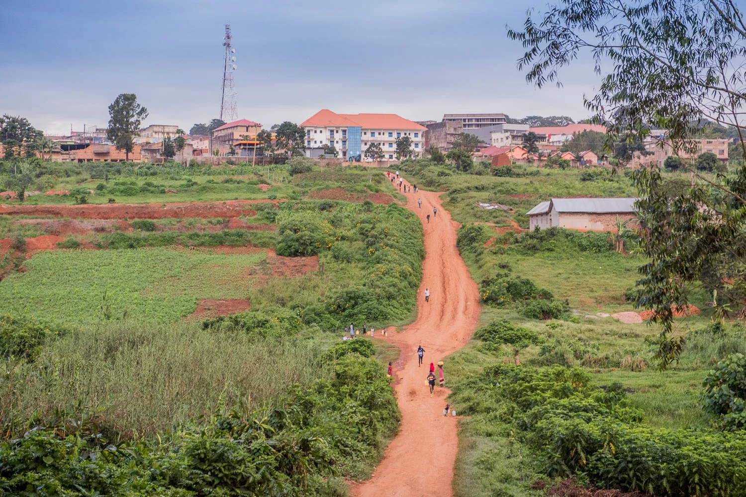UgandaInternationalMarathon2016_CopyrightDavidAltabev2016-16.jpg