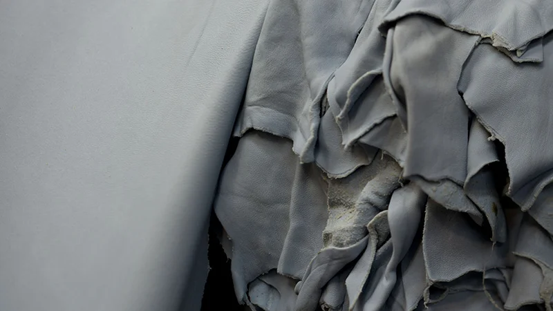 Chrome tanned hides result in a blueish hue.