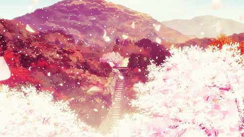 amazing-anime-beautiful-cherry-blossom-Favim.com-2380285.gif