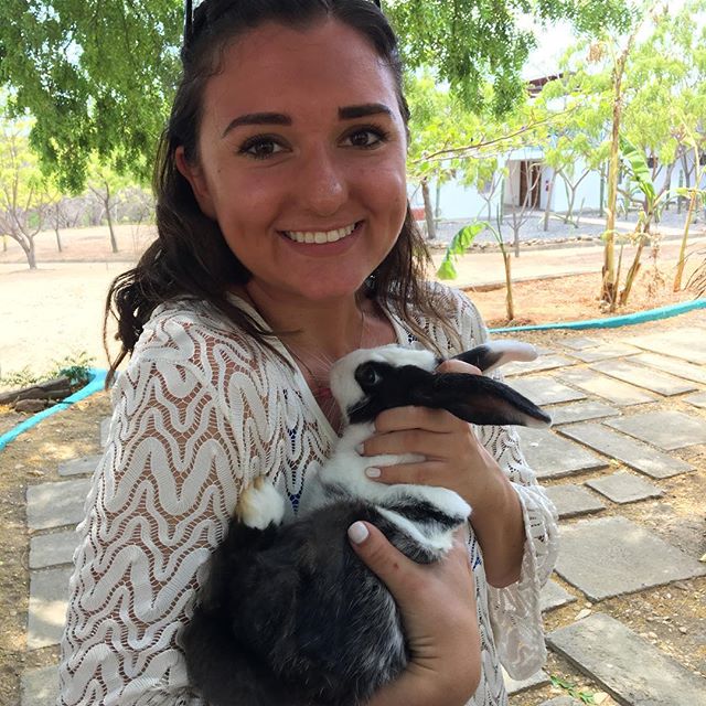 Bunny love
#bunny #nicaragua #mesasostenible #sustainability @hotelbrio