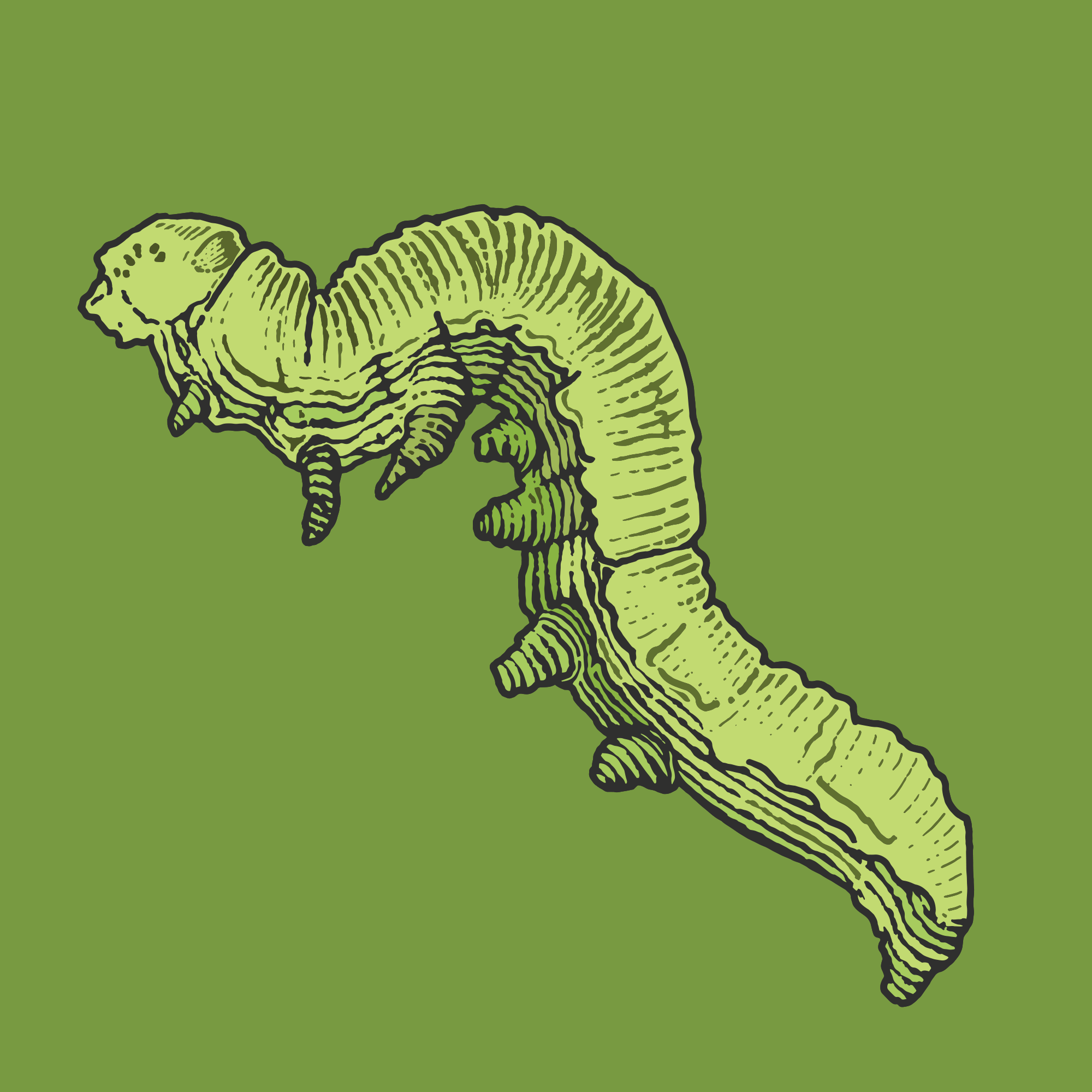 Inchworm 1.png