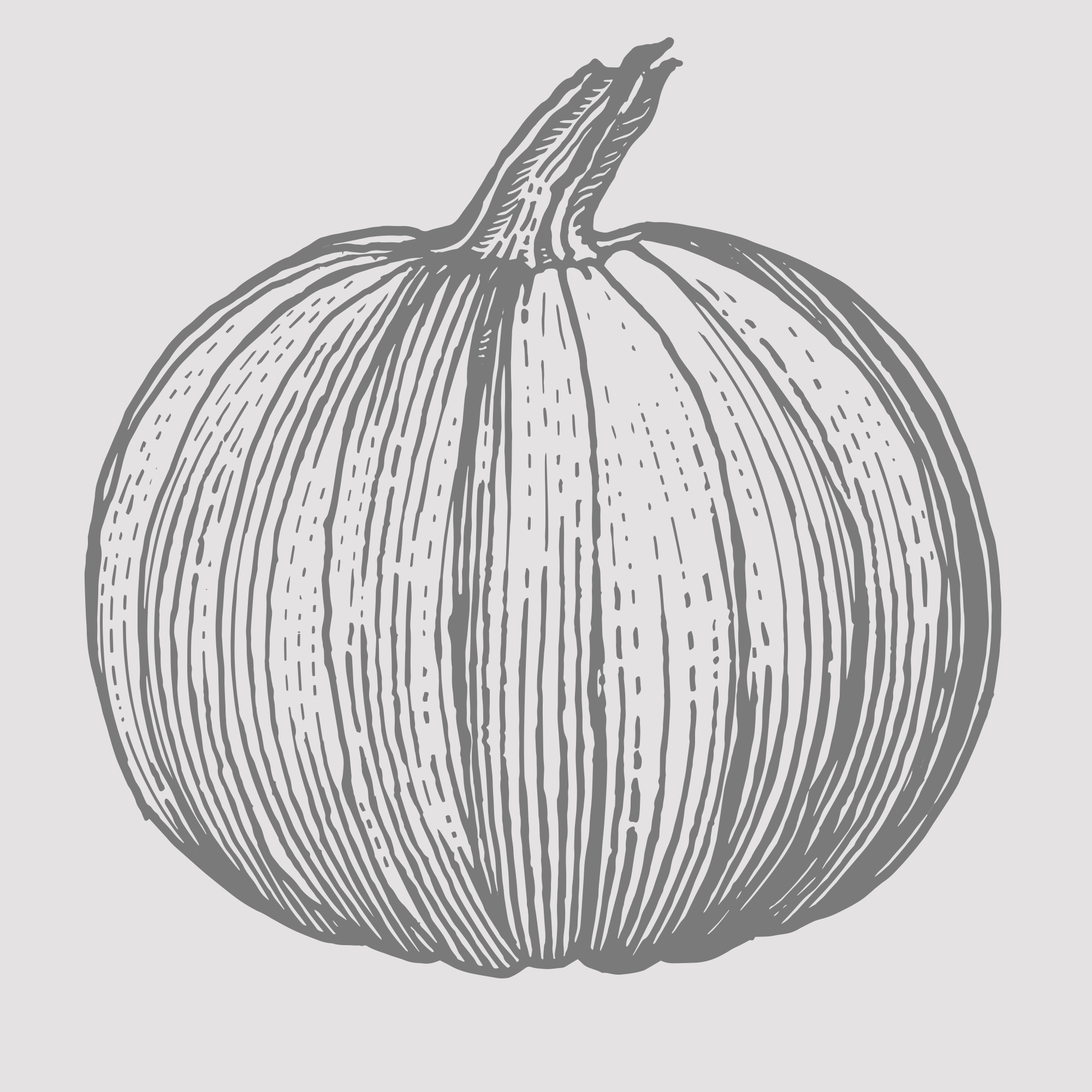 Pumpkin 5.png
