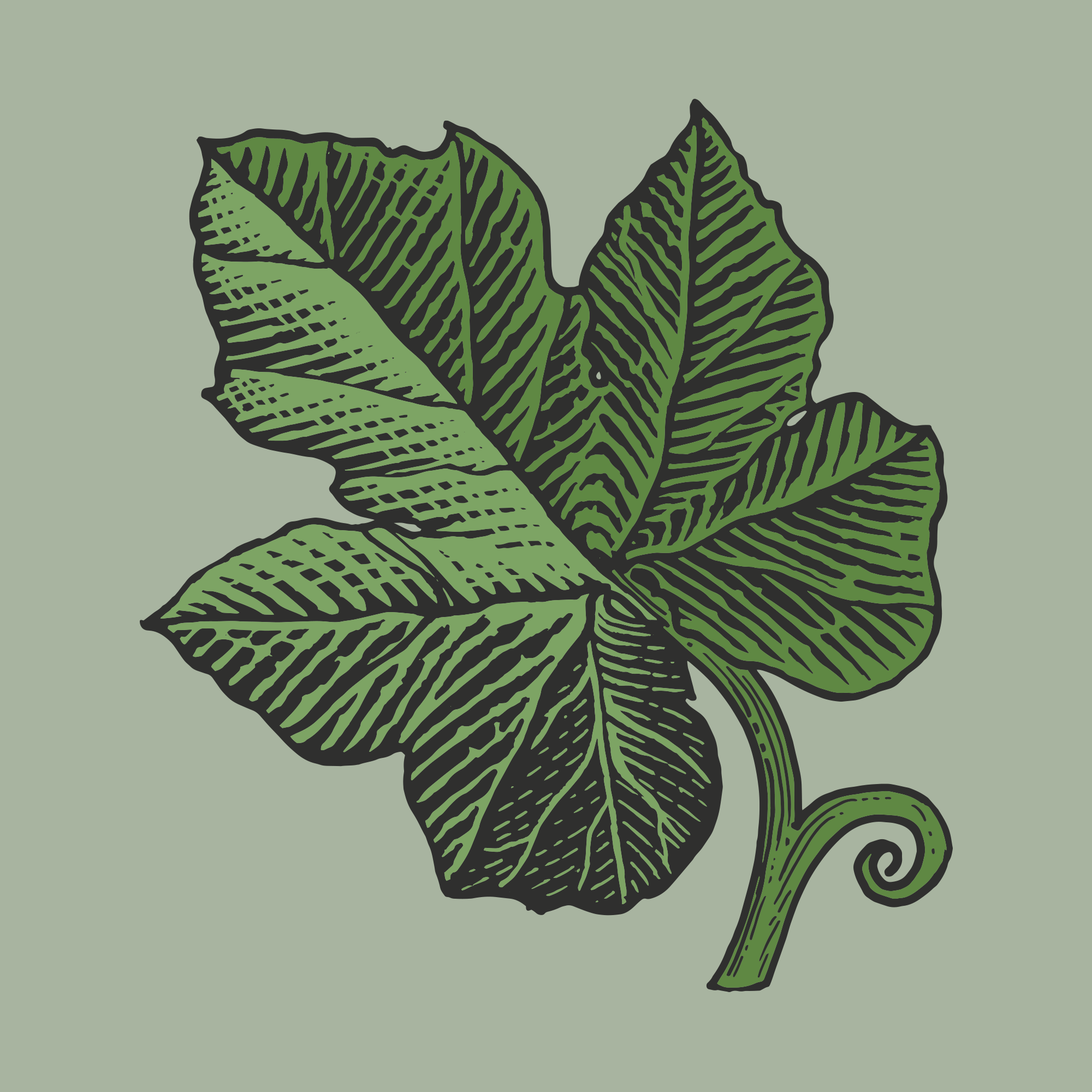 Pumpkin Leaf.png