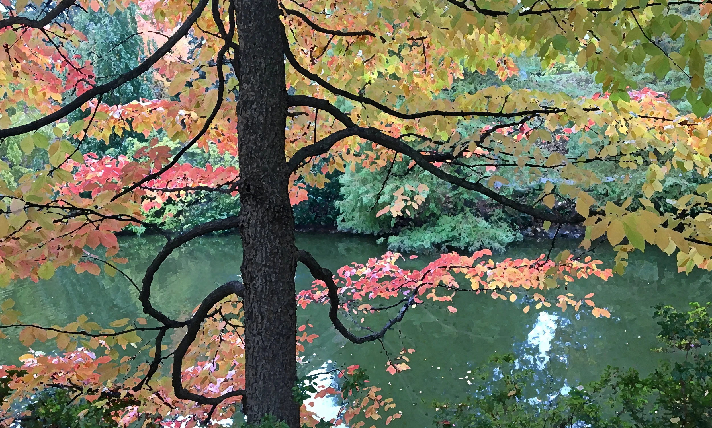 Mount Auburn October 2015 1245FB.jpg