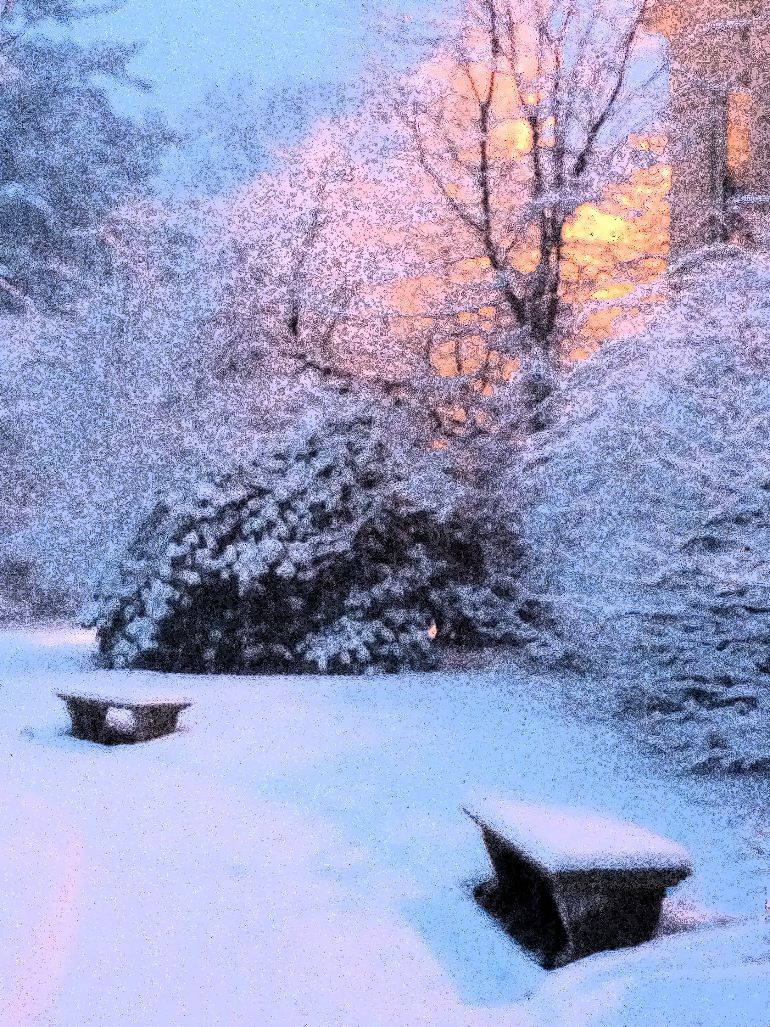 snowy morning 048_edited-1.jpg