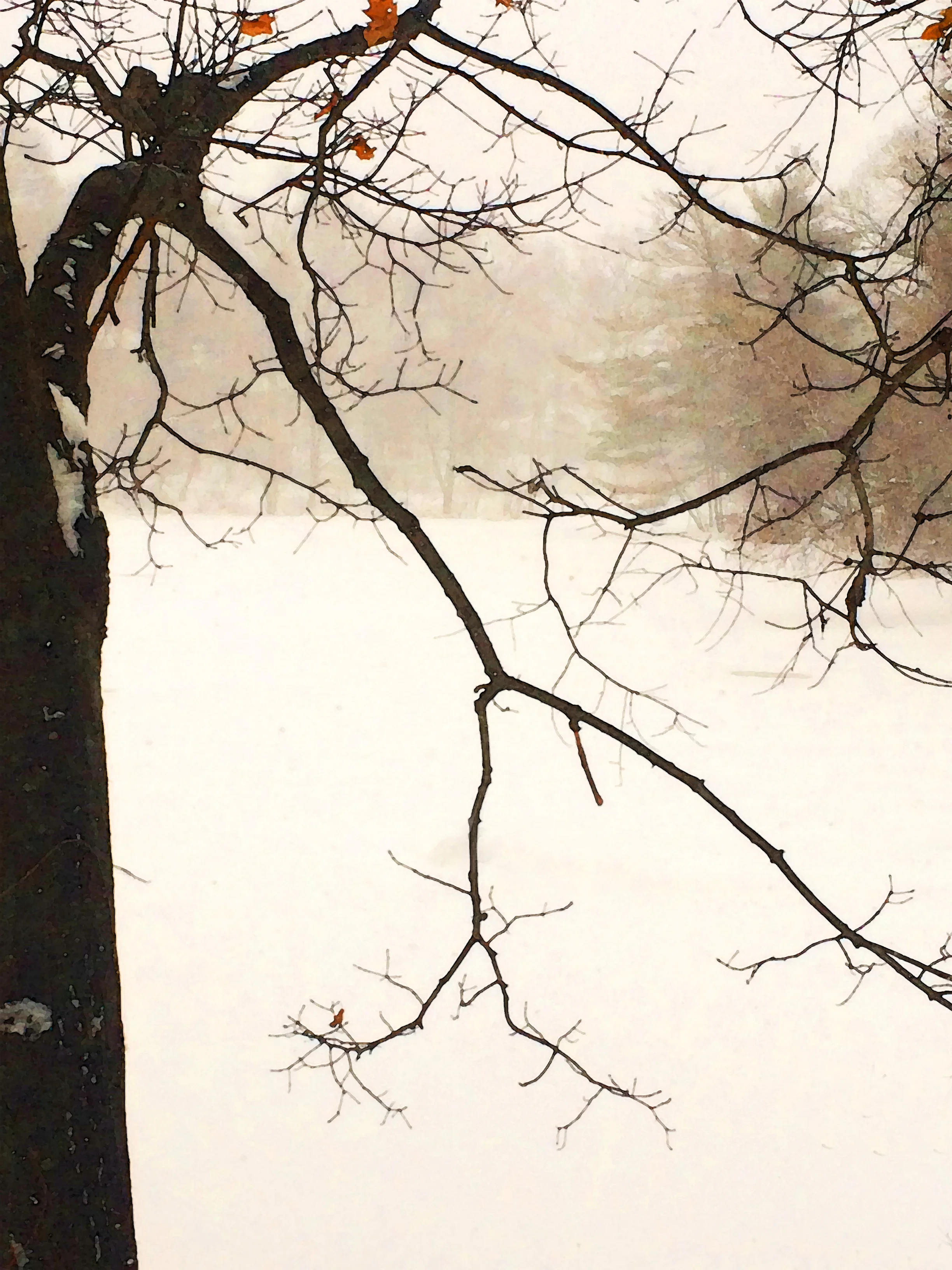 storm3 016-1_edited-2 (2).jpg