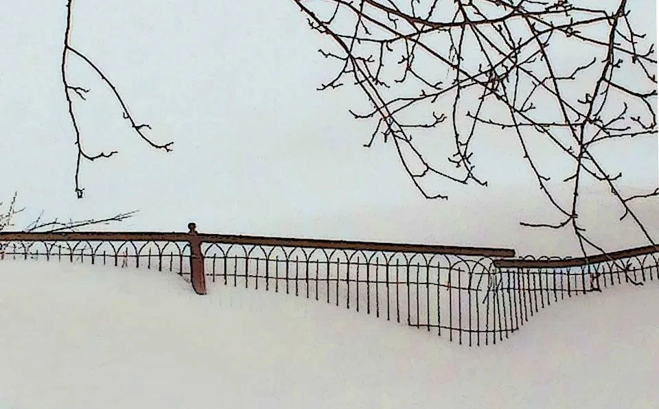 fence in snow.jpg