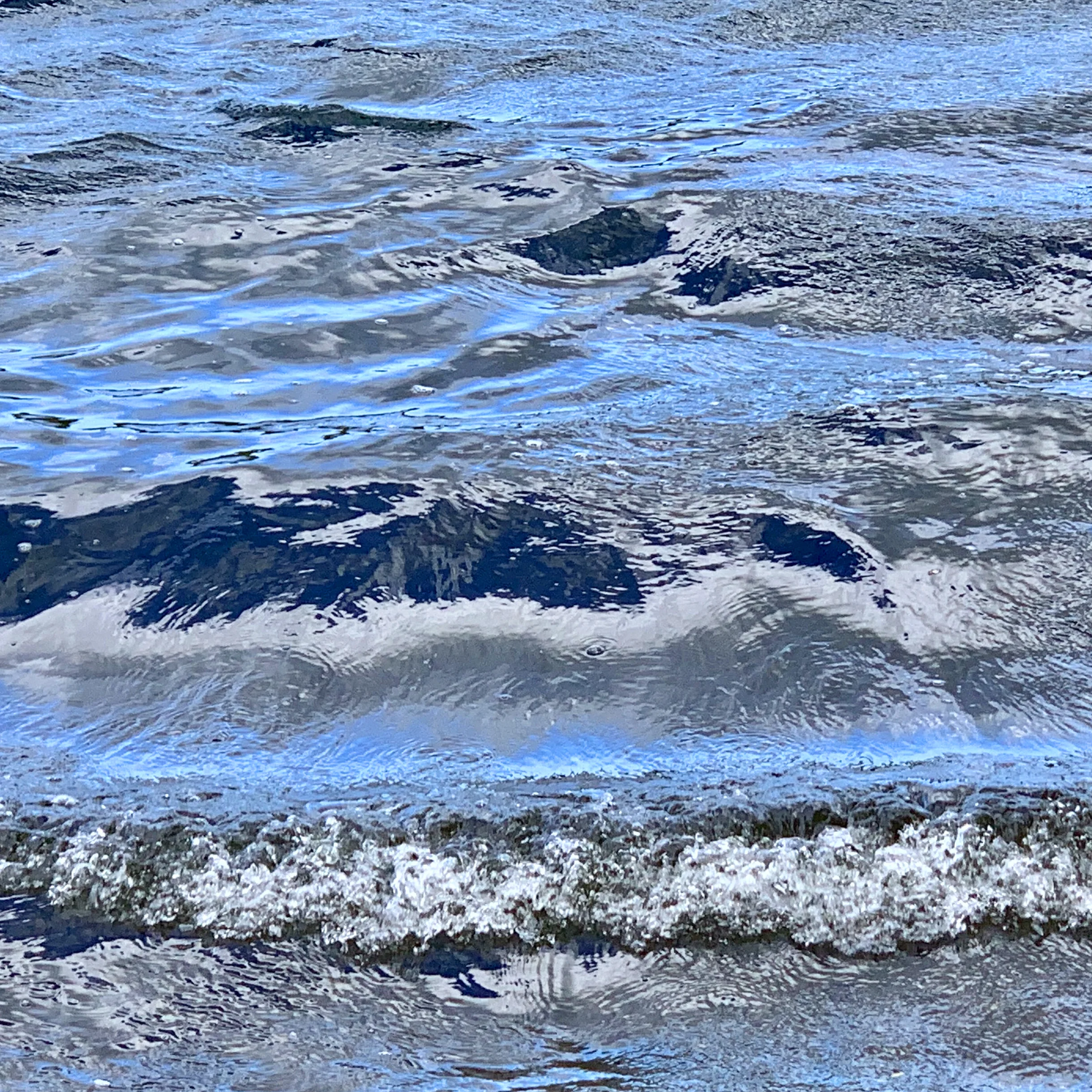 spy pond in the wind3.jpg