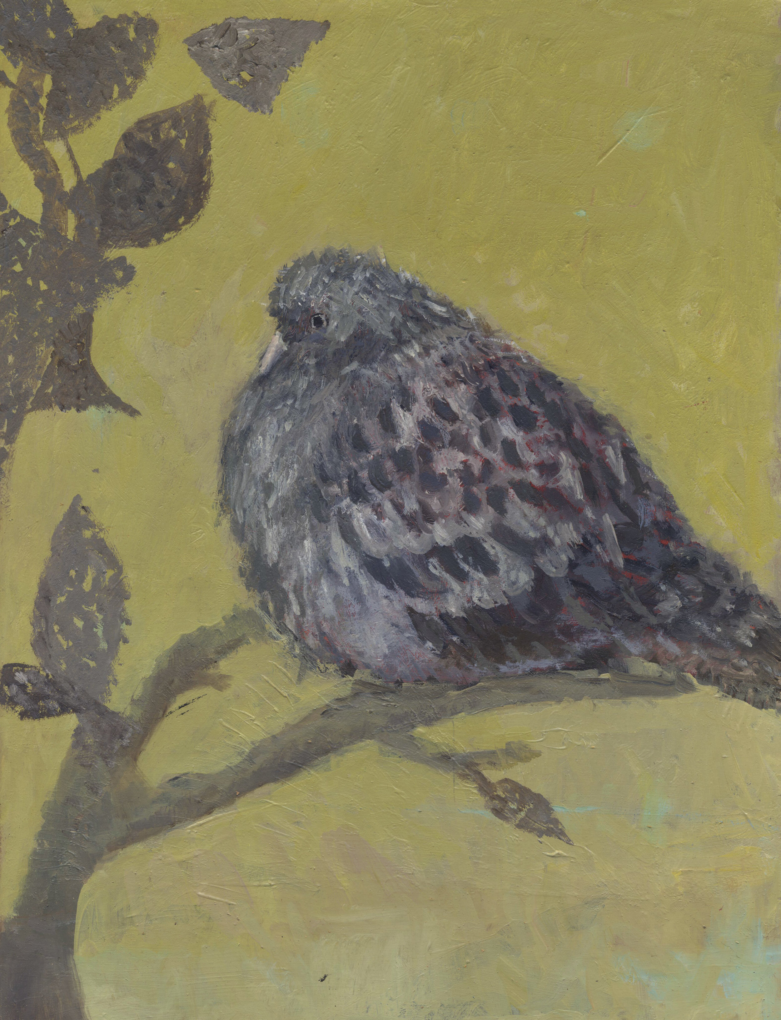 Perching Pigeon (2020)