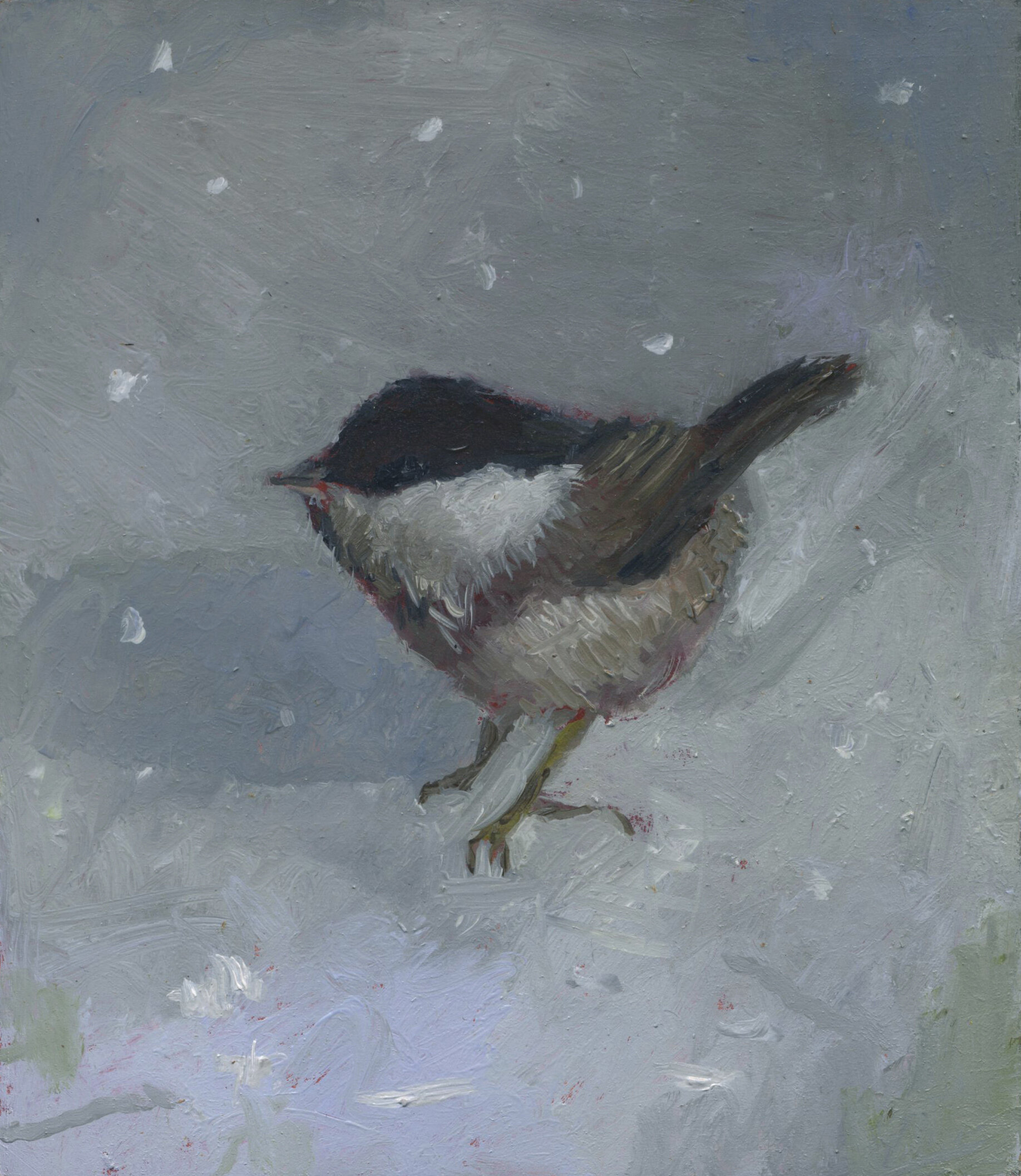 Little Bird (2020)