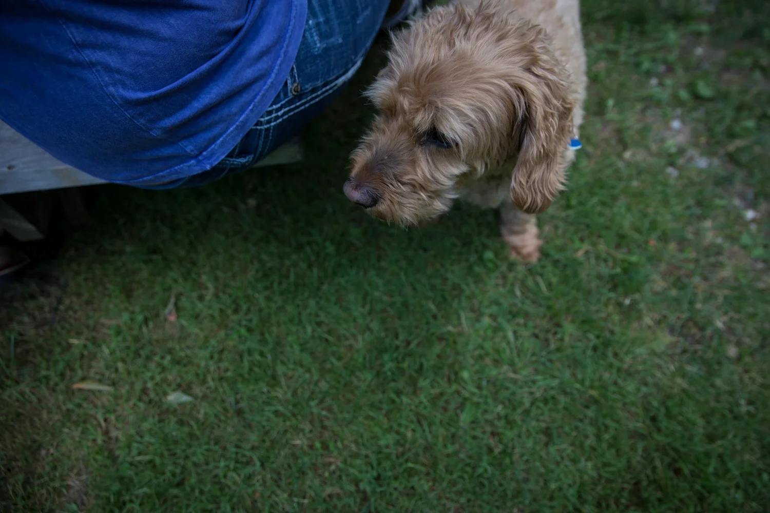 Family Reunion in St. Agatha