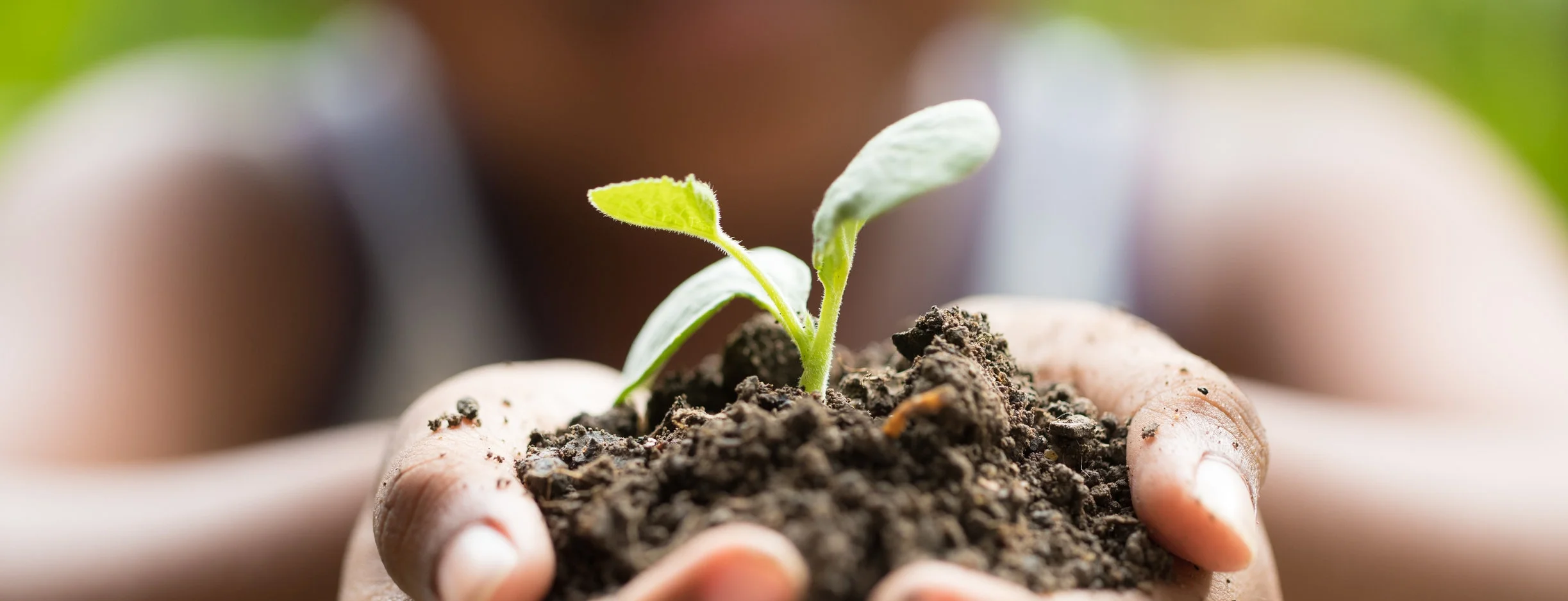 Holding Plant Image 2.jpeg