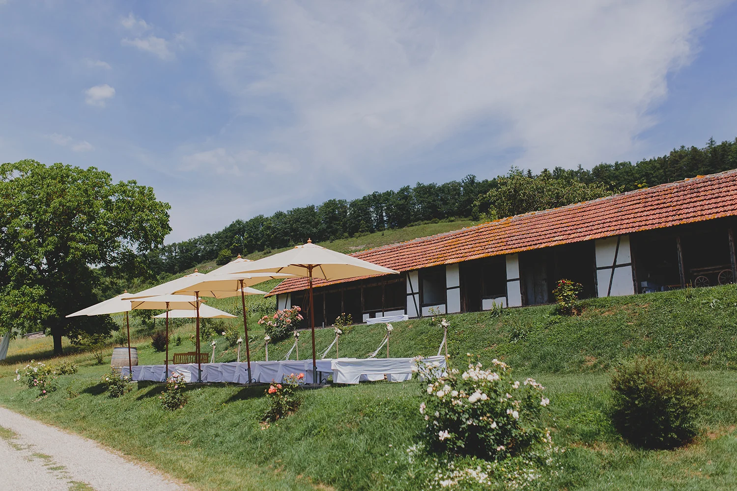 Fotos: Franzi Molina