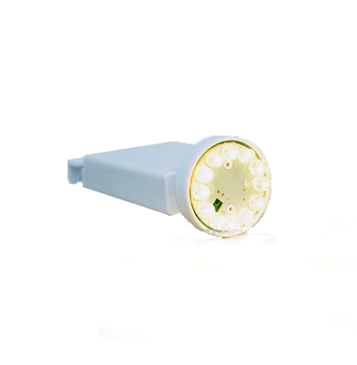 LED Licht für Lampions.jpg