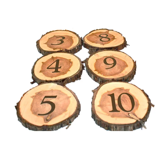Tischnummern Holzscheiben.jpg
