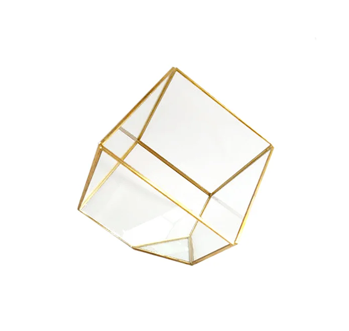Terrarium Würfel.jpg
