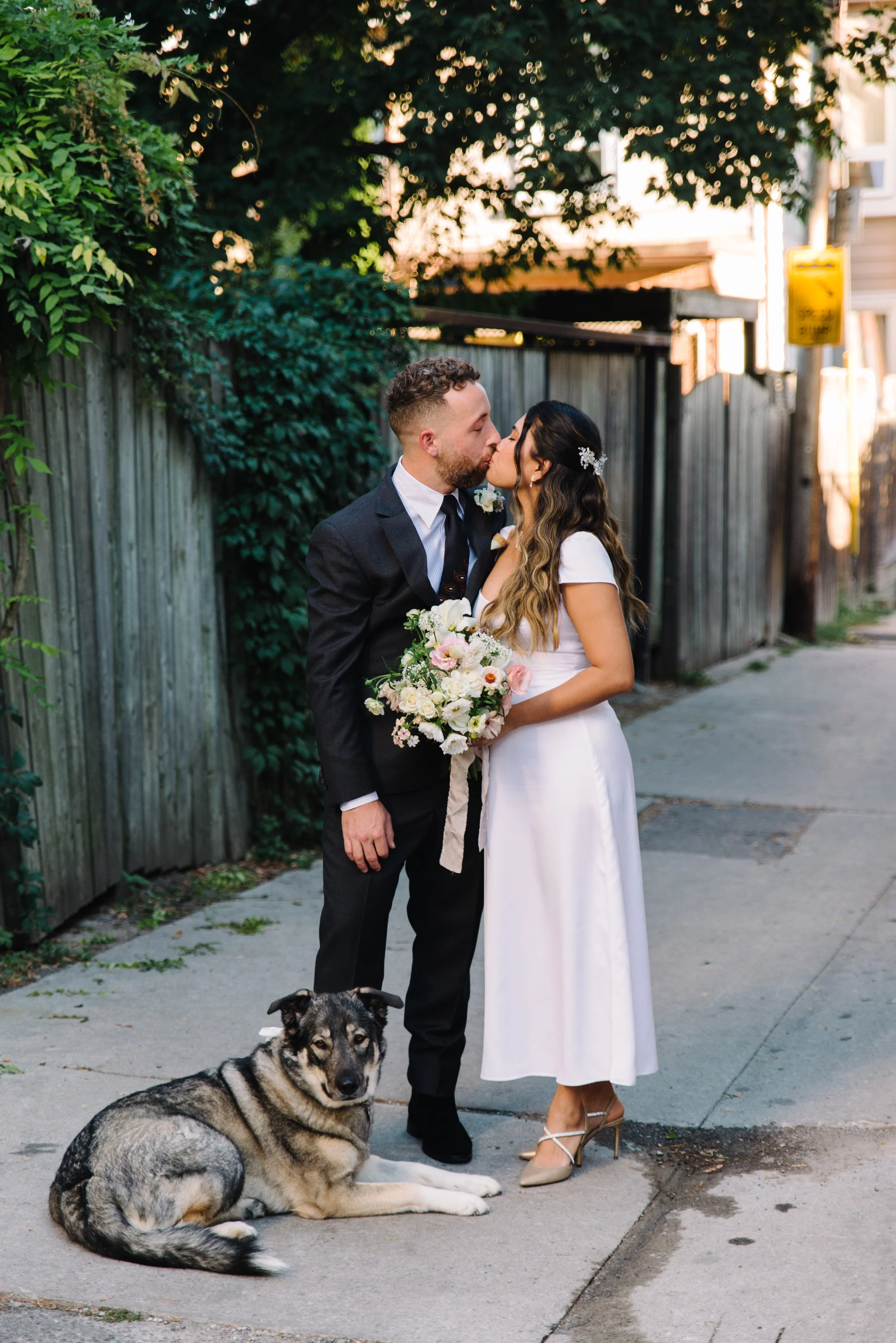 Portrait of a bride and groom kissing as their dog sits at their feet during their Toronto elopement