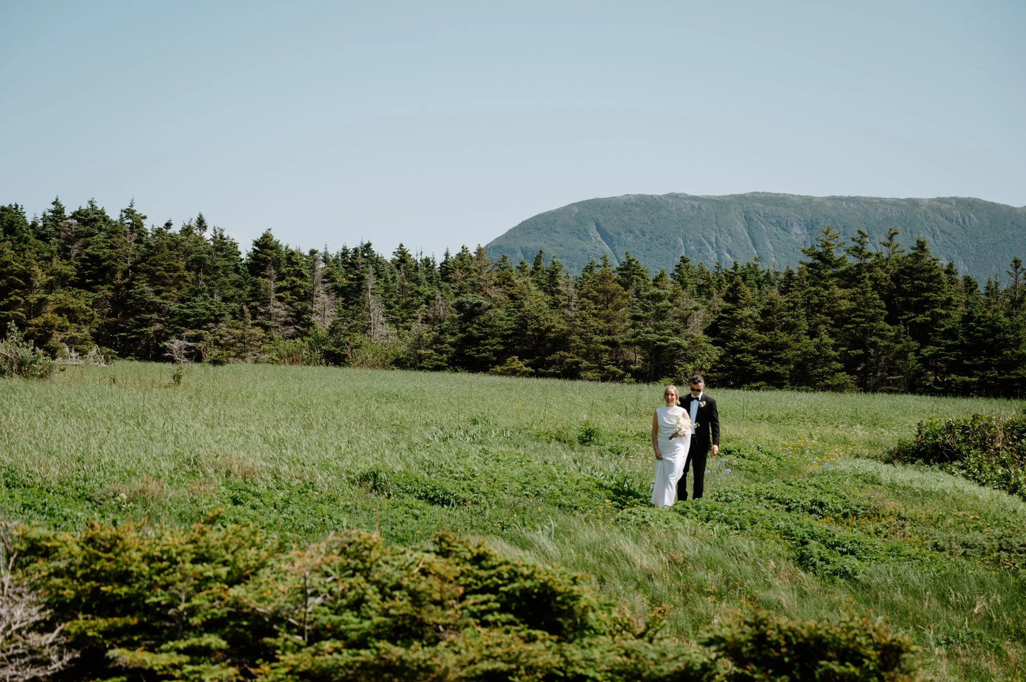 Wide shot of a bride and groom walking through a dramatic landscape at a destination wedding, reminiscent of British Columbia