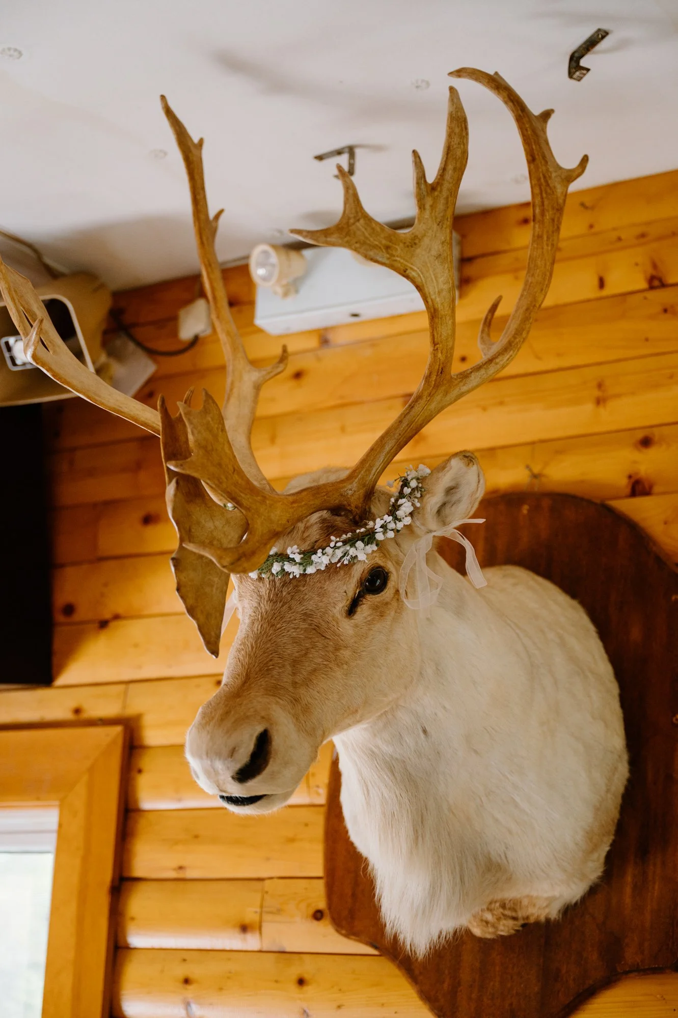 Mounted deer head decorated with a floral crown as part of the reception decor at a destination wedding in Newfoundland